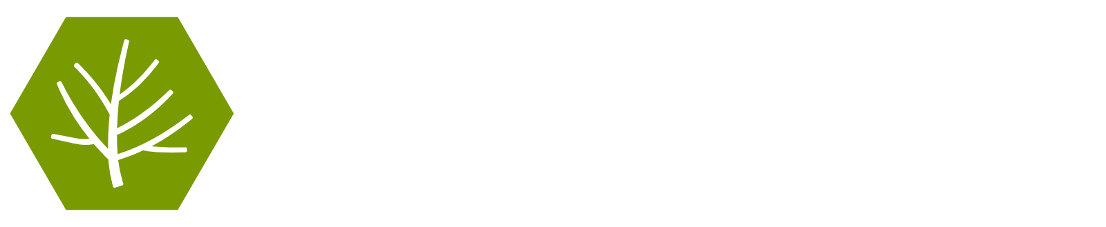 Bugtree logo